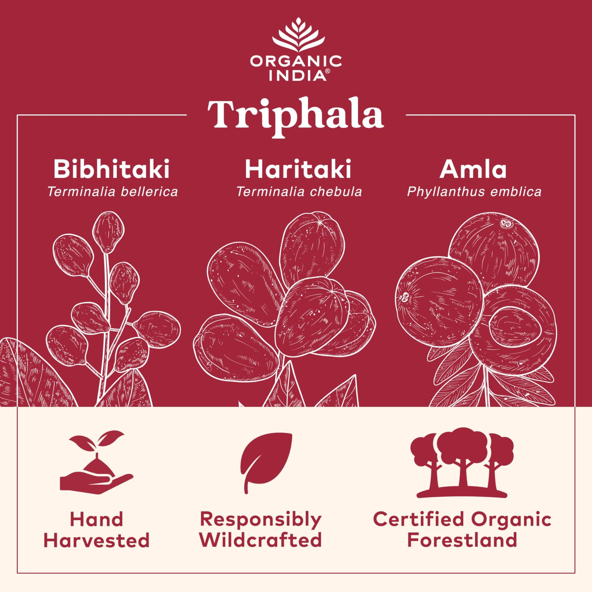 Immune support vegan capsules imagery