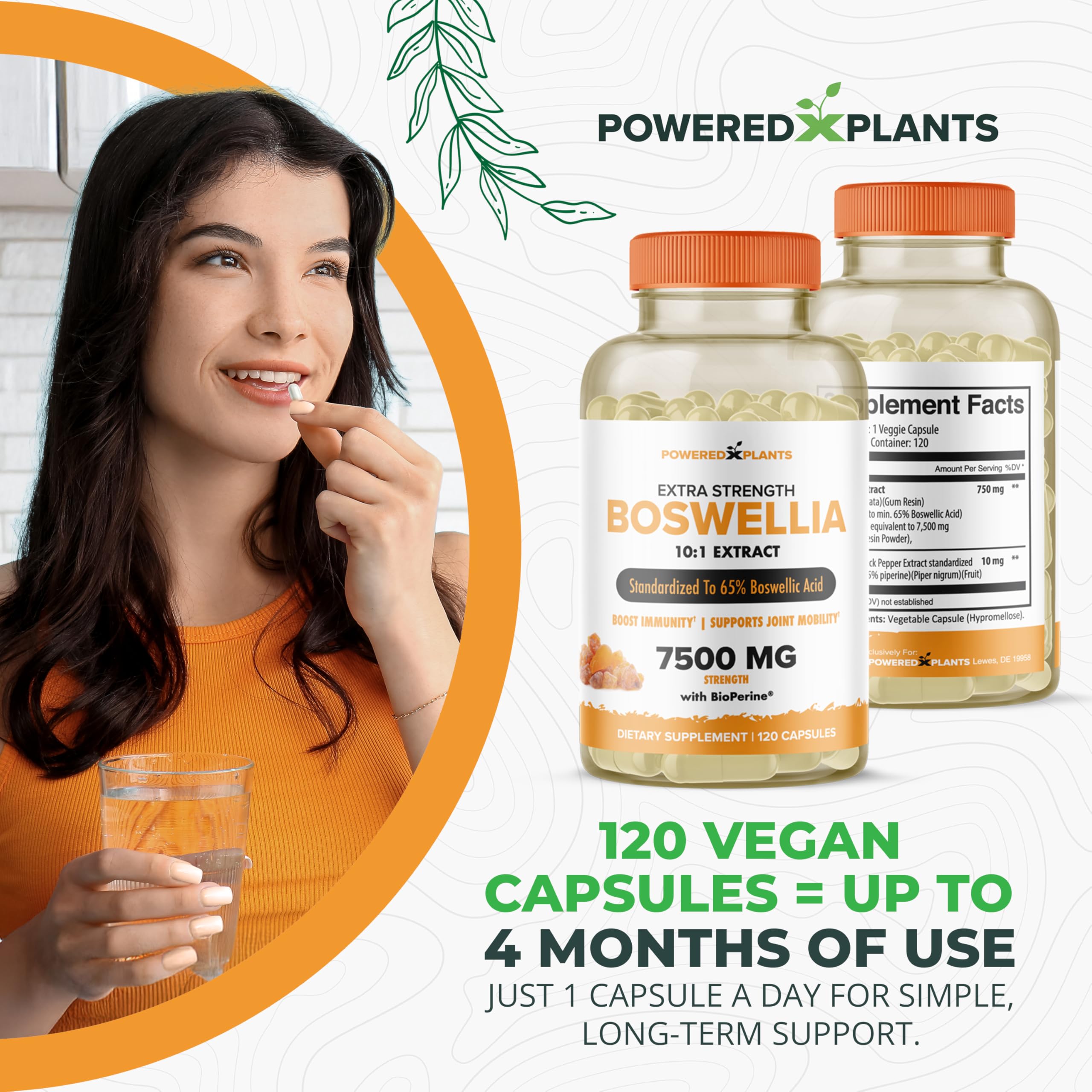 Immunity and joint health concept with Boswellia supplement