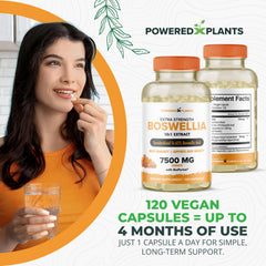 Immunity and joint health concept with Boswellia supplement