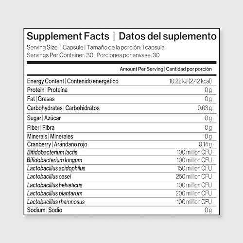 Digestive health concept showing balanced gut microbiome