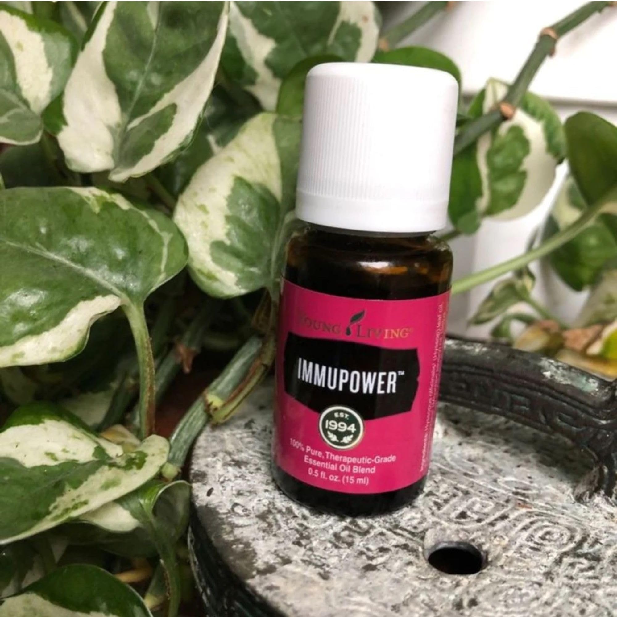 ImmuPower ingredients highlight hyssop frankincense oregano clove cumin