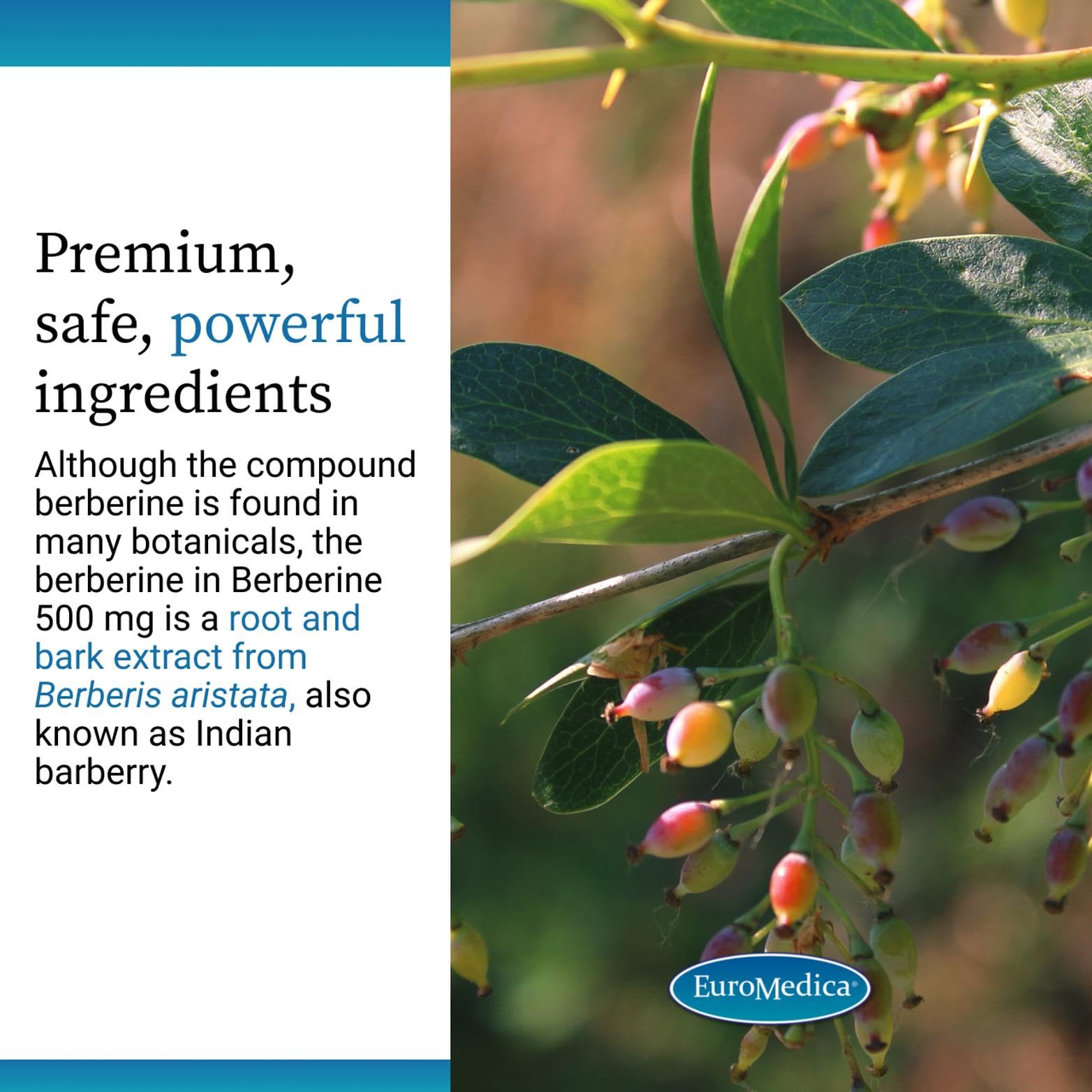 Indian barberry root extract packaging