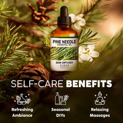 Indian pine needles and twigs source for essential oil