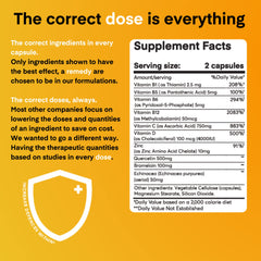 Graphic showing quercetin, vitamin C, zinc and vitamin D ingredients