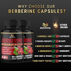 Icons representing Berberine, Cinnamon, Turmeric, Artichoke, Milk Thistle and Black Pepper