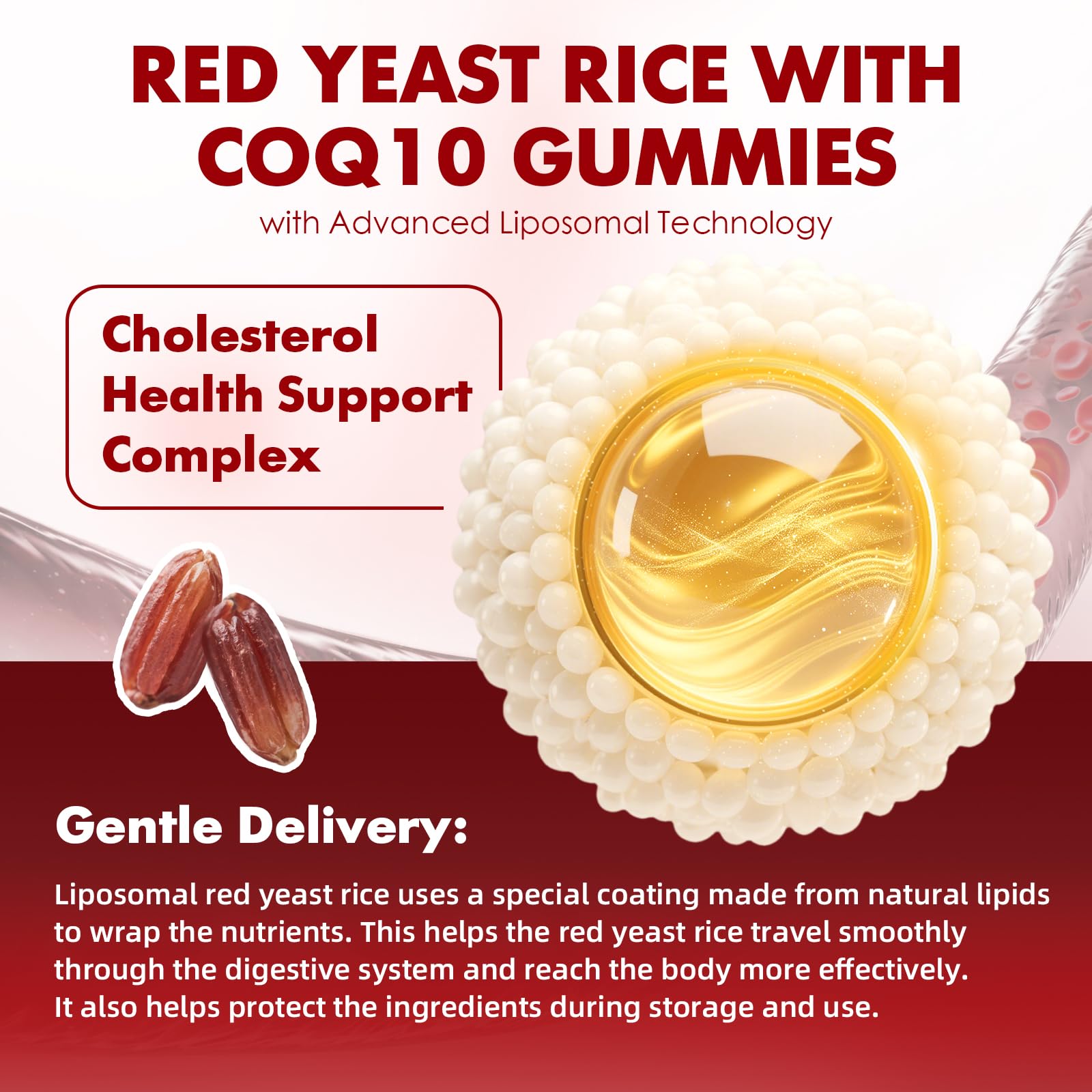 Ingredients label showing red yeast rice and CoQ10