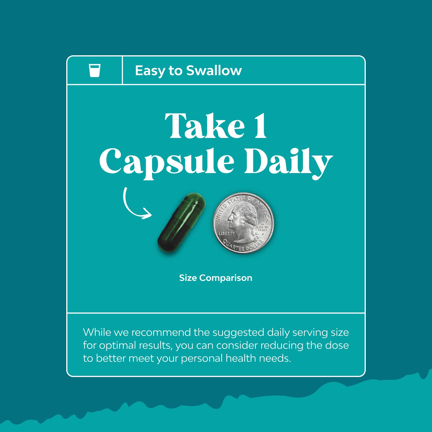 Chlorophyll capsules ingredients mint and parsley