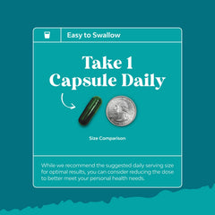 Chlorophyll capsules ingredients mint and parsley