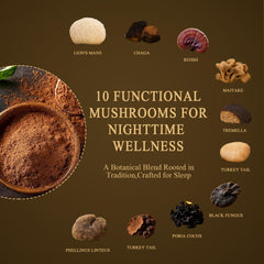 L-Theanine, GABA, Magnesium Glycinate with probiotics and MCT oil icons