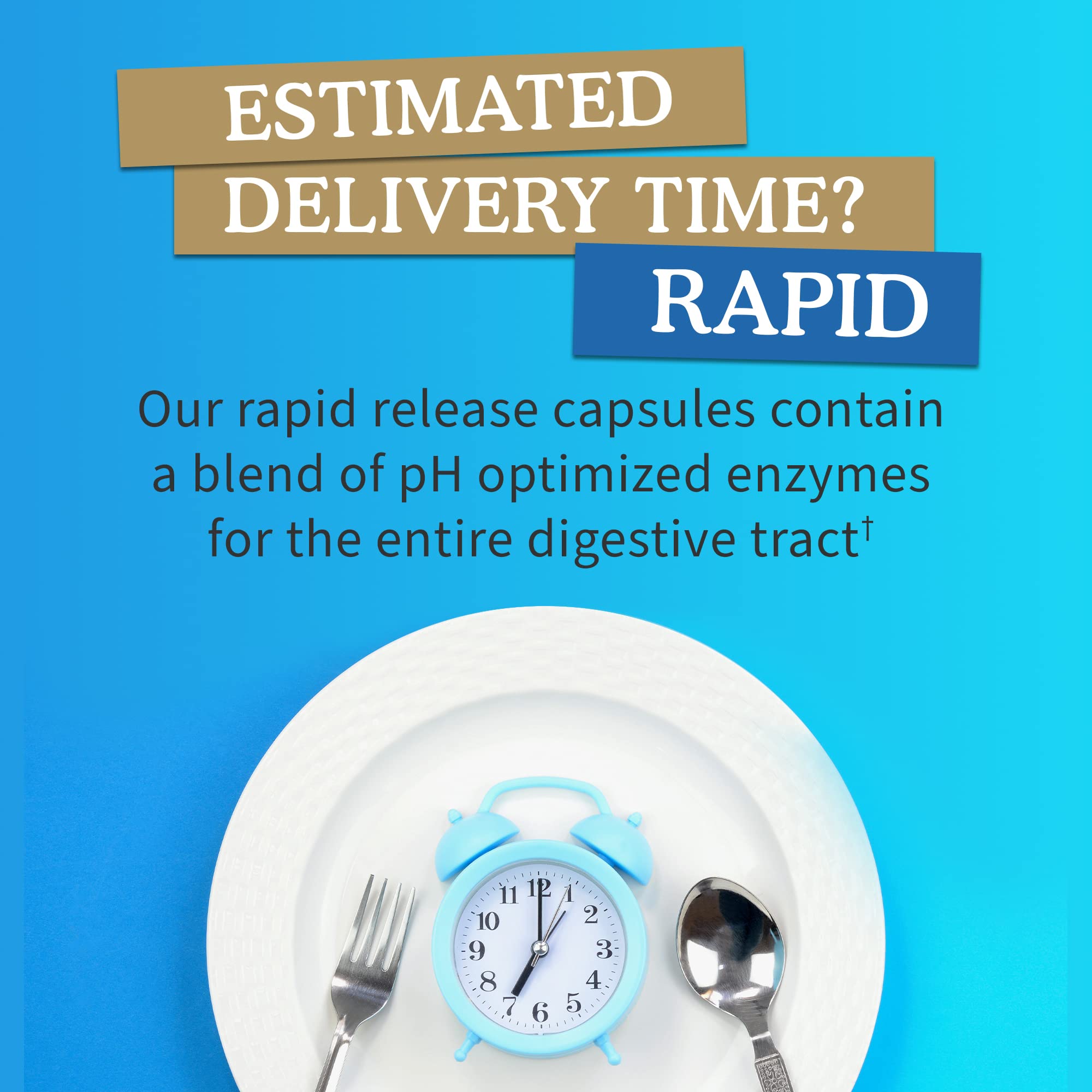 Ingredients including papain, bromelain, lipase, ginger and turmeric