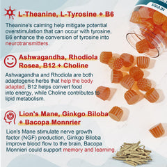 Ingredients: L-Tyrosine, L-Theanine, B6 and B12