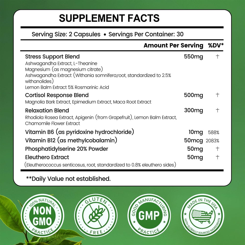 Brain health and cognitive support concept for cortisol balance