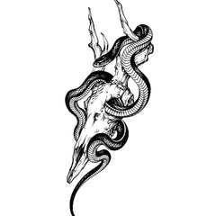 INKARTLINK packaging with snake design motif offers premium gift-ready presentation