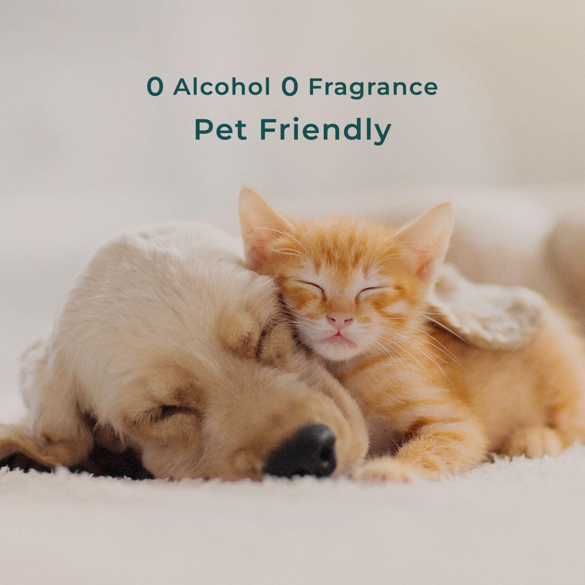 Bedside setup with INNA ORGANIC Sleep Spray ready for nightly routine.