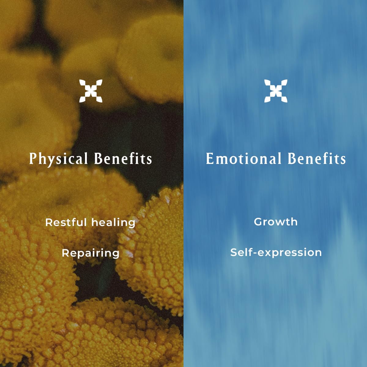 INNA ORGANIC Sleep Spray beside a diffuser to set soothing mood.