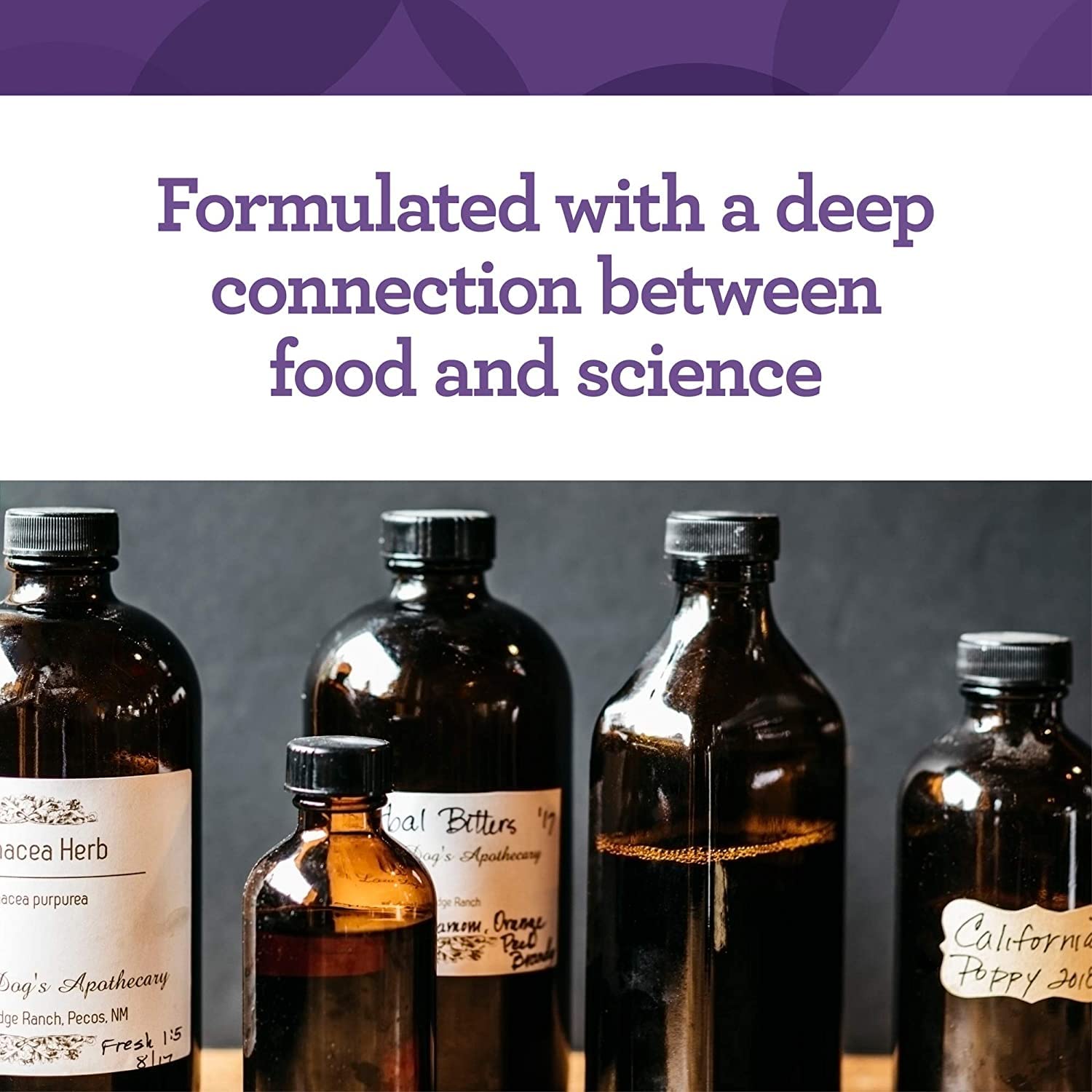 Innate Response Sensoril Ashwagandha closeup shows standardized withanolides for consistent activity.