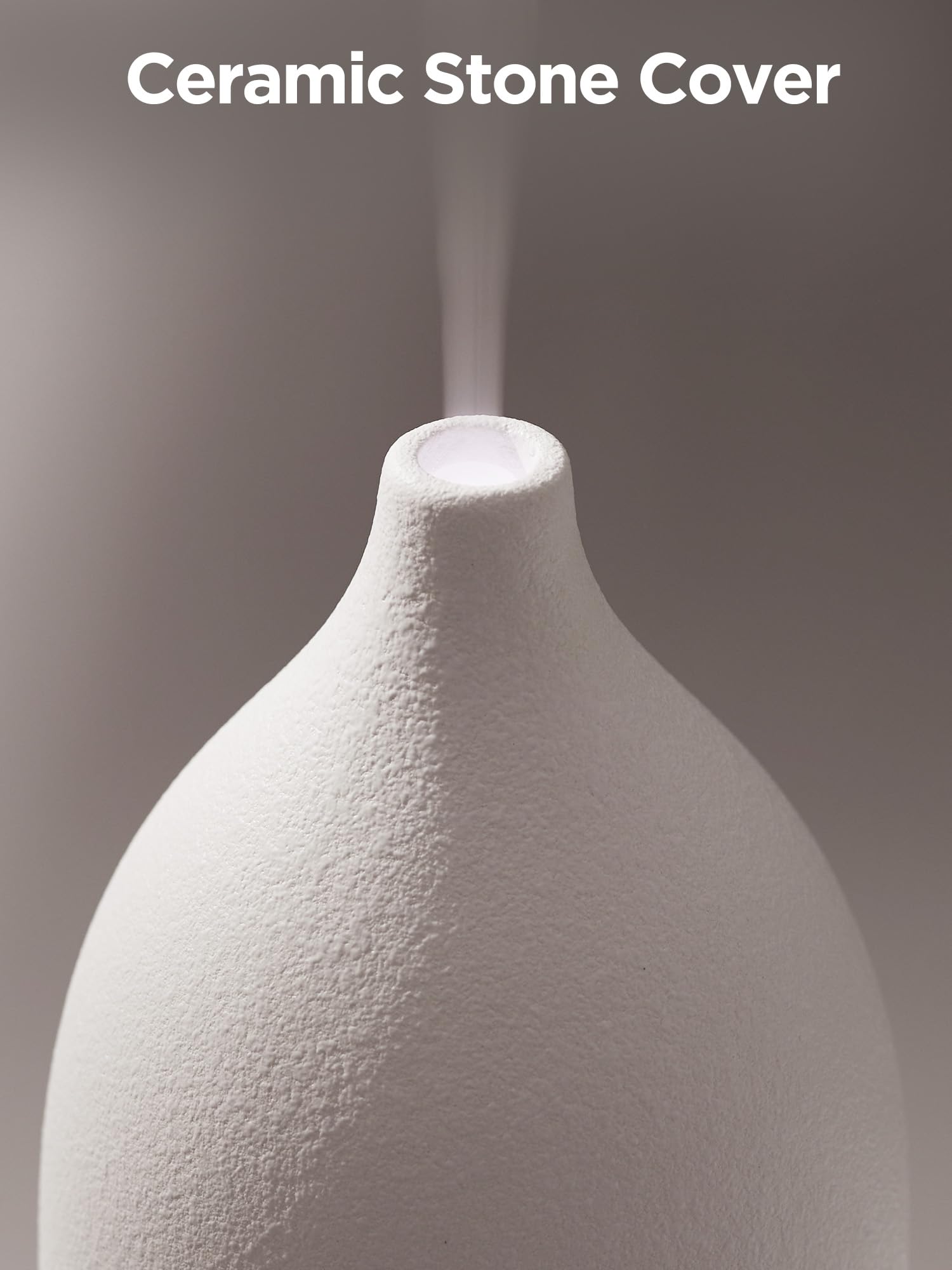 Mist emission from diffuser in action