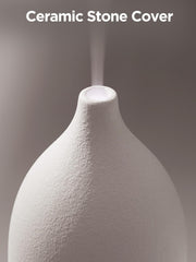 Mist emission from diffuser in action