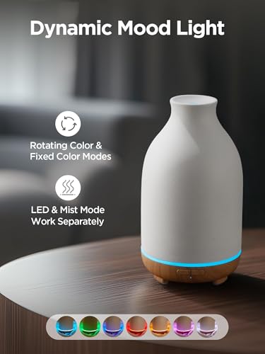 Auto-off feature indicator on diffuser