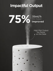 Diffuser displaying two mist modes: continuous and intermittent