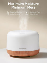 Diffuser auto-off timer display