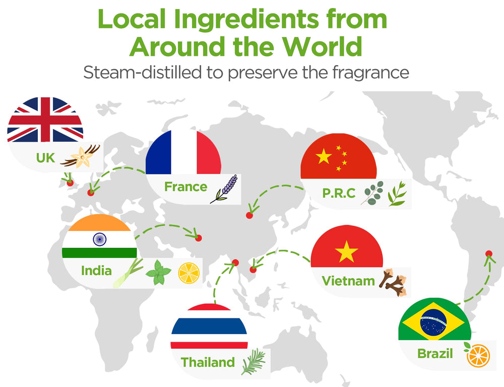 Easy-clean base of InnoGear diffuser