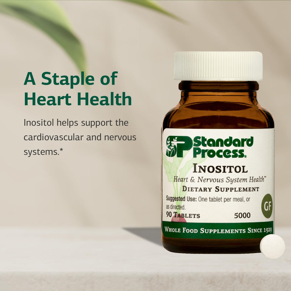 Nervous system support through inositol