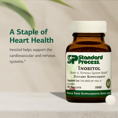 Nervous system support through inositol