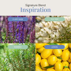 Cold-air diffuser releasing Inspiration Aroma Oil