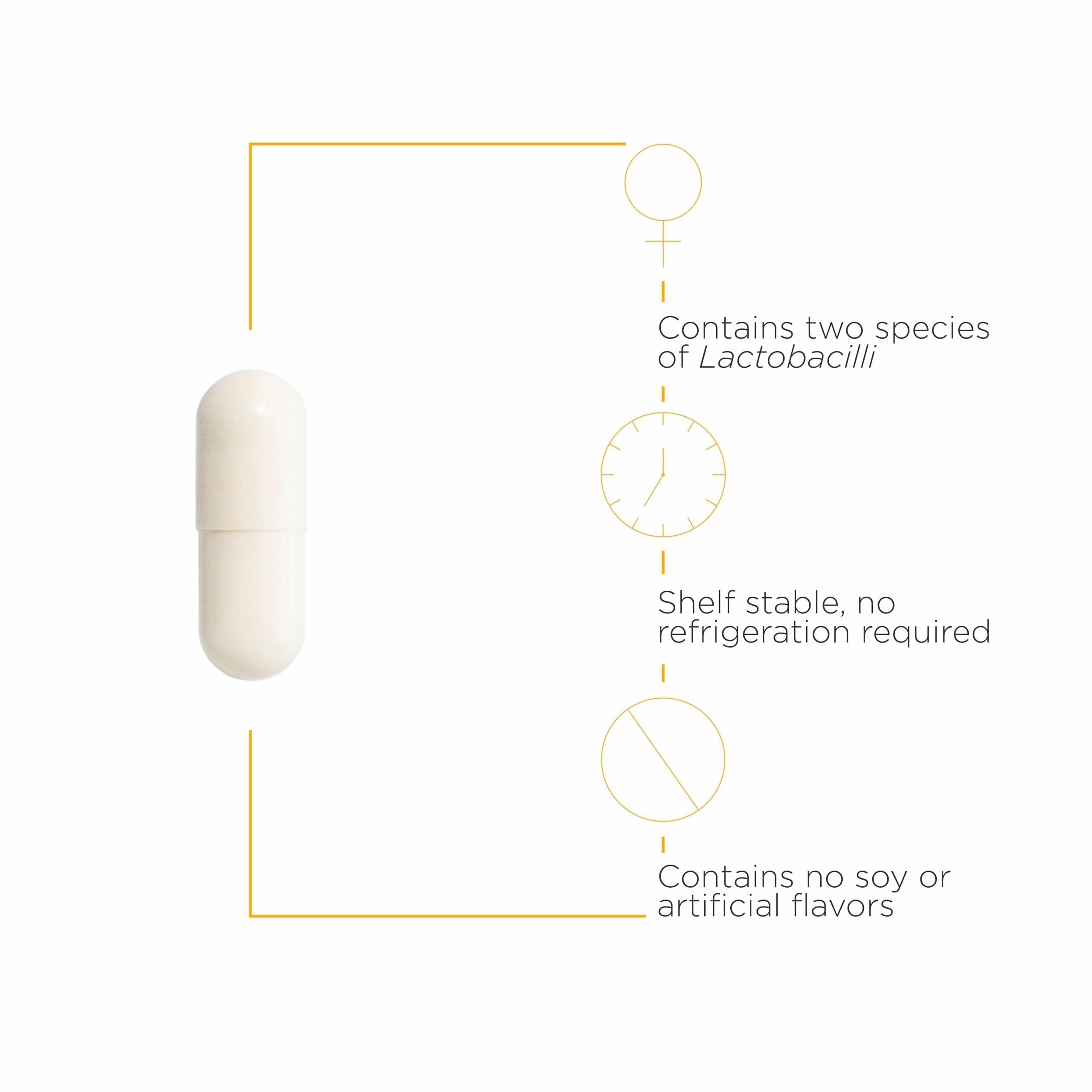 Illustration of Lactobacillus rhamnosus GR-1 and Lactobacillus reuteri RC-14 strains