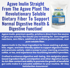 Iconic benefits highlighting digestive health from inulin powder