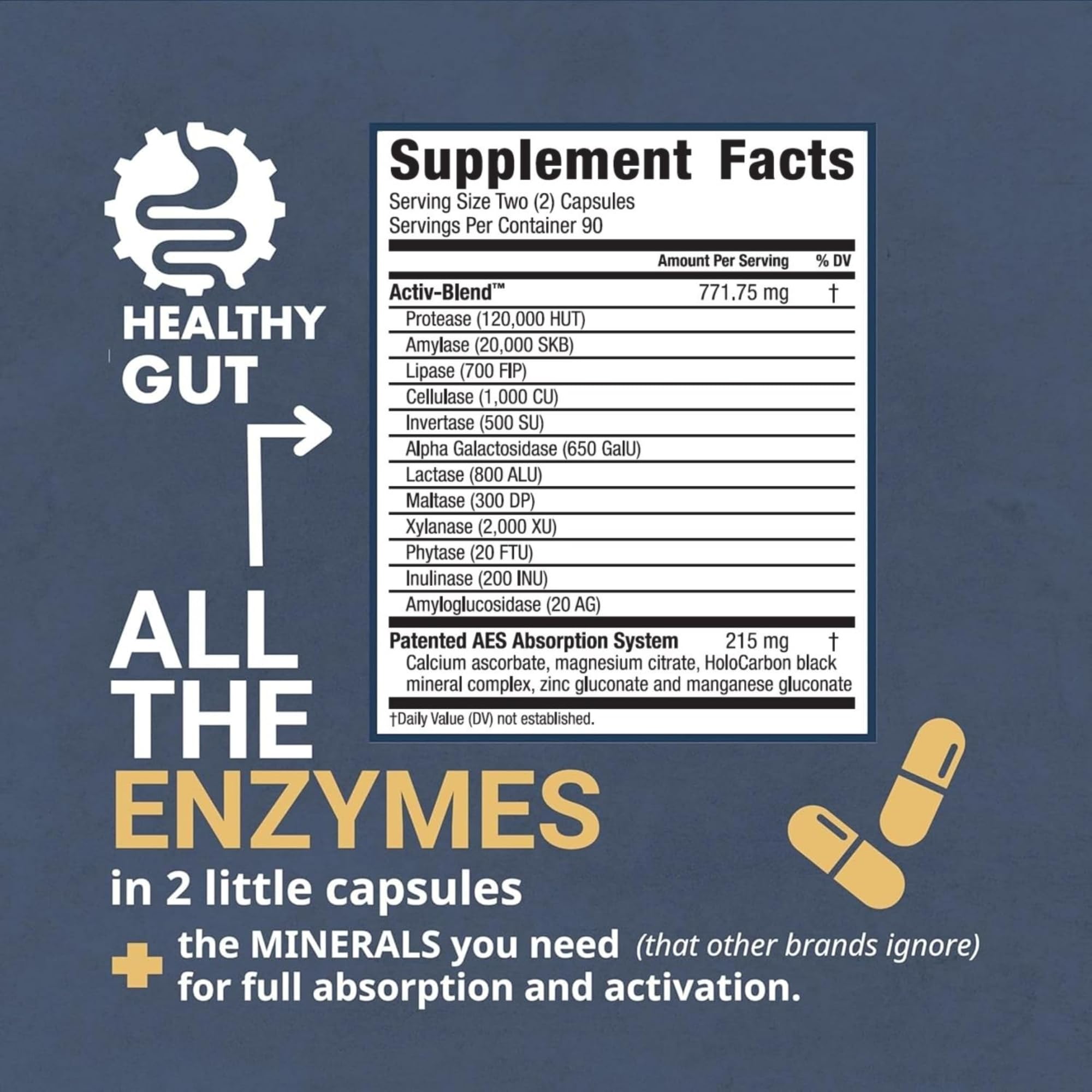 Enzyme trio: Protease, Amylase, Lactase