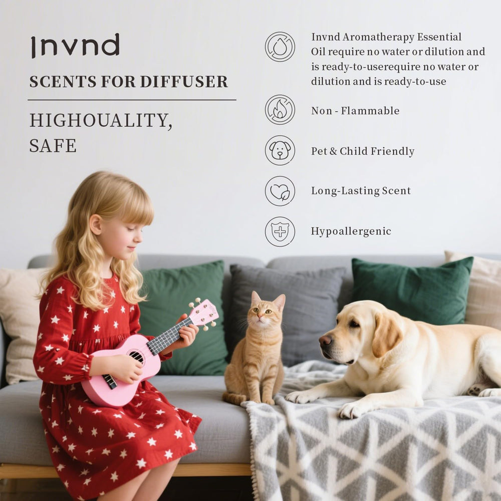 Invnd Biluochun Longjing bottle in living room ambience