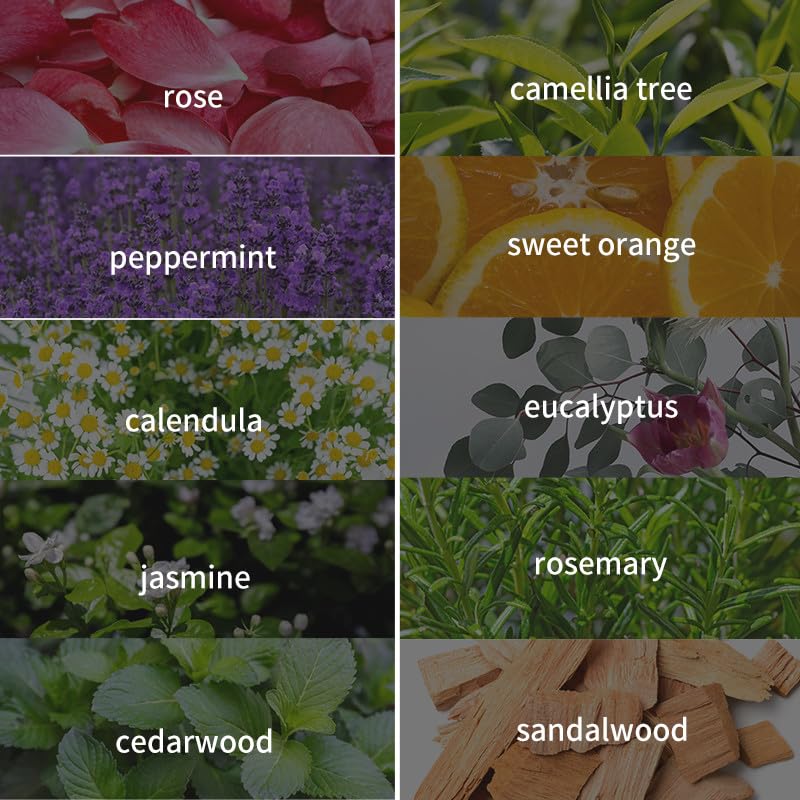 Invnd rosemary fragrance oil used in massage sessions