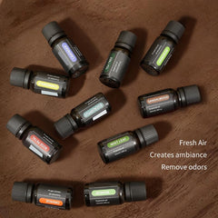 Invnd Tea Tree Oil packaging display communicates natural source and high quality.