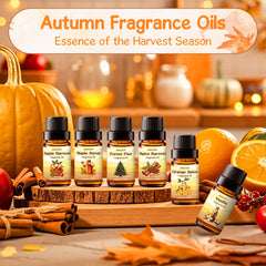 INWICOPH Autumn Fragrance Oils Set Orange Spice 10ml bottle
