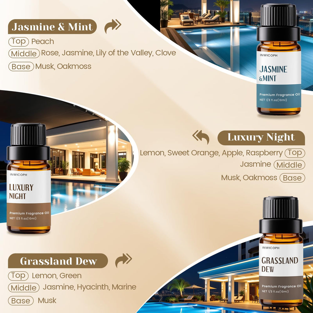 Velvet Noir & Vetiver fragrance oil bottle (10ml)