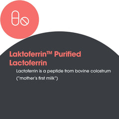 Illustration of iron binding and transport by lactoferrin