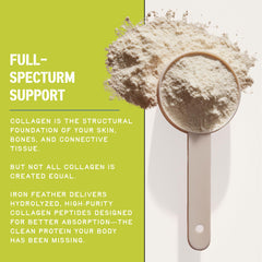 Iron Feather Collagen infographic showing collagen types I II III V and X