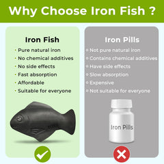 Iron-rich meals prepared with Iron Fish