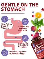 Organic beet root and spinach powder ingredients
