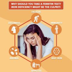 Instruction manual and test reagents for ferritin testing