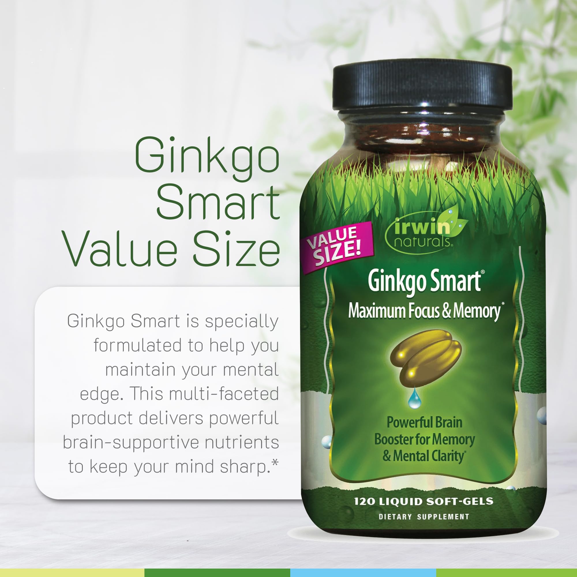 Ginkgo biloba leaf and clubmoss plant imagery