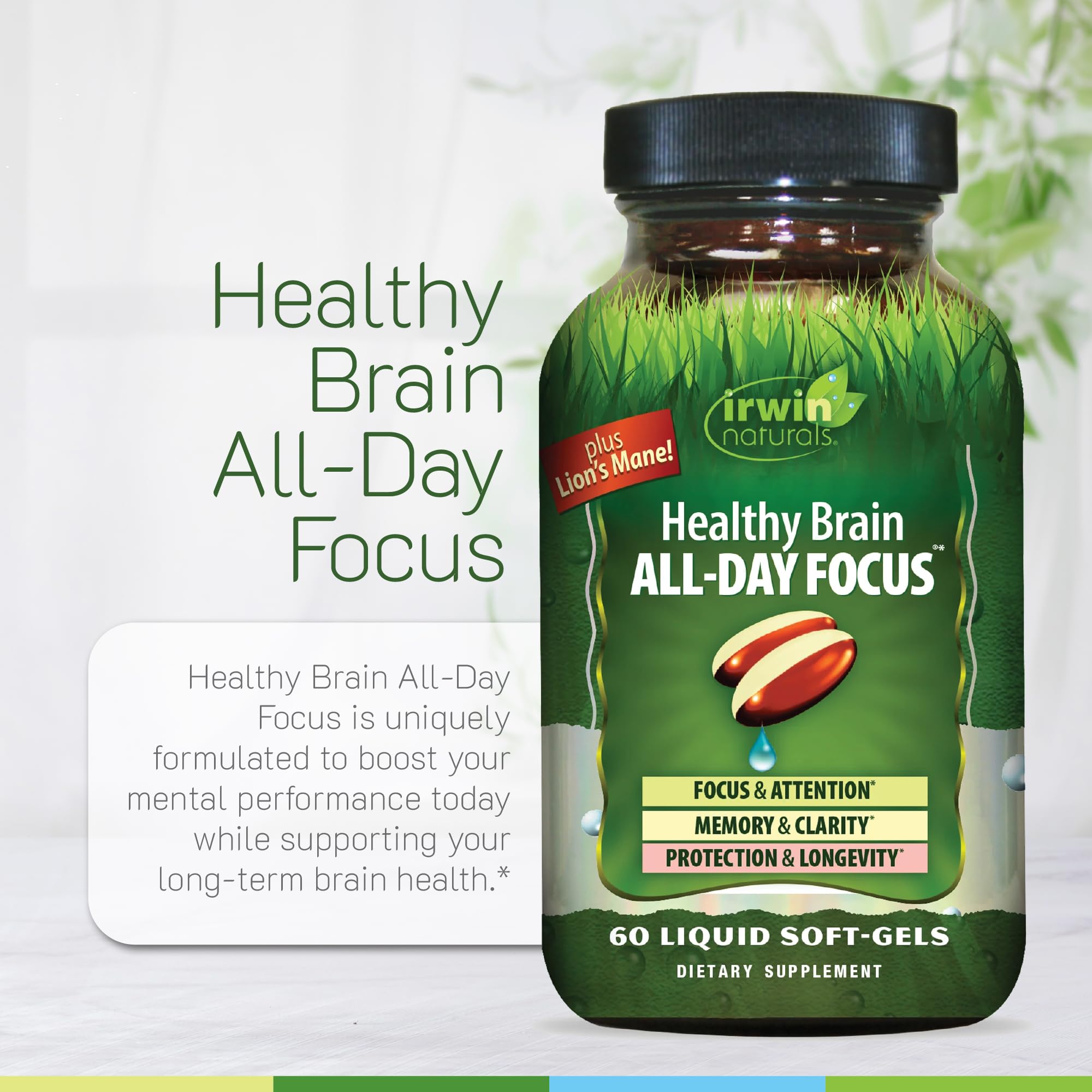 Illustration of brain-healthy ingredients such as blueberries and herbs
