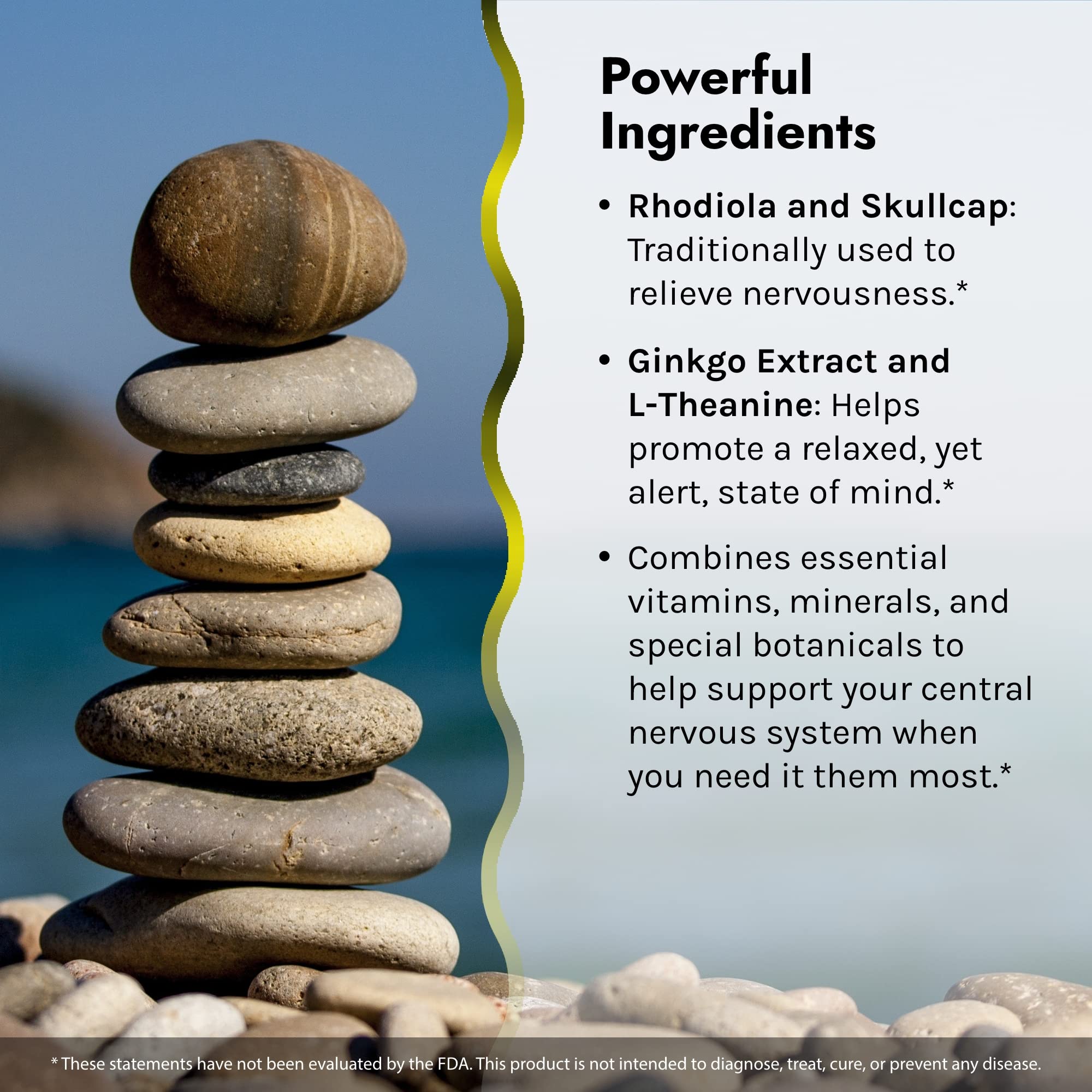 Rhodiola and L-Theanine illustration for calm focus