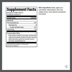 Liquid nootropic elixir with green tea extract