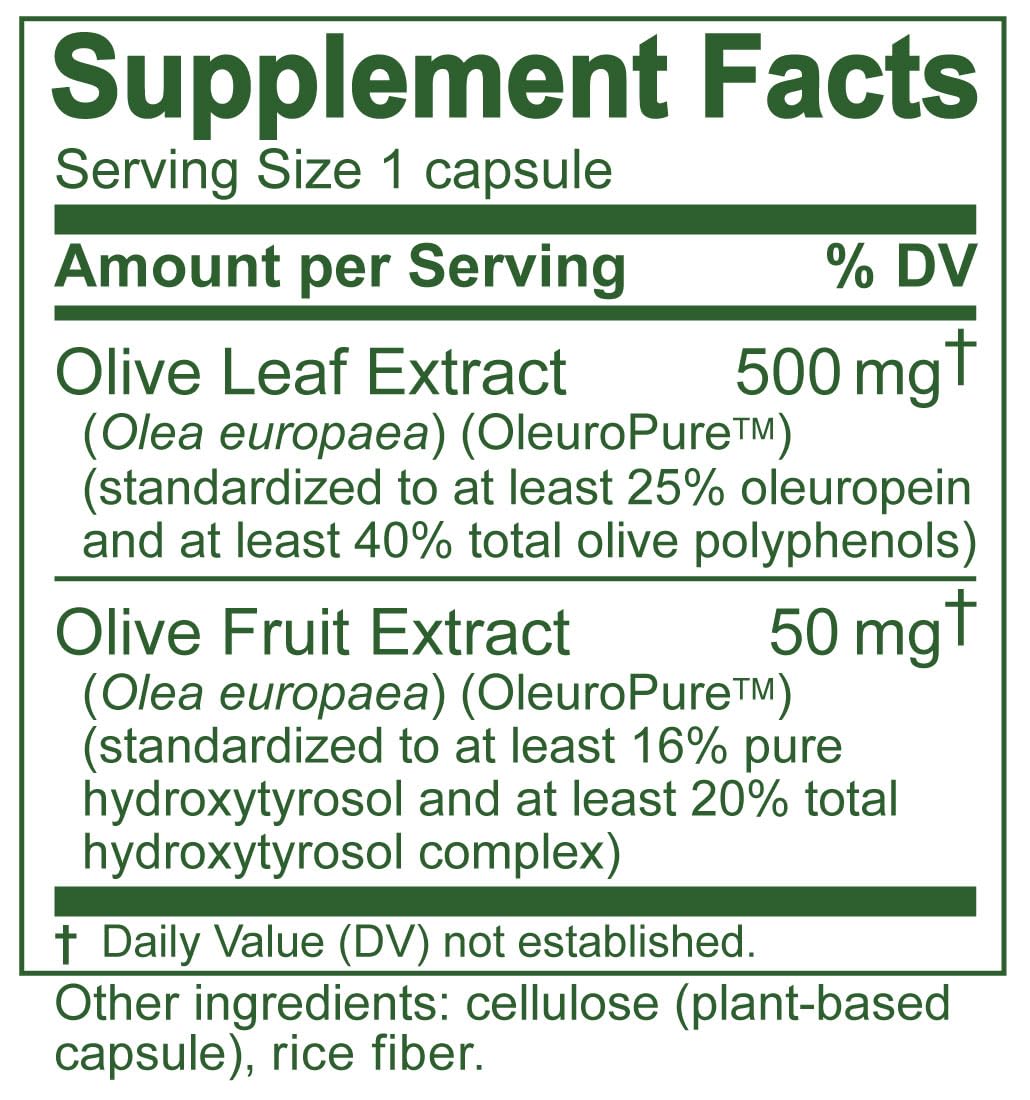 Spain-grown olive leaves from Mediterranean farms