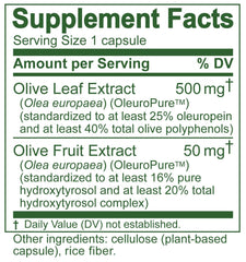 Spain-grown olive leaves from Mediterranean farms