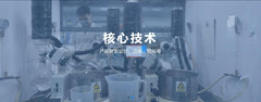 TCM high-purity natural products bulk supply