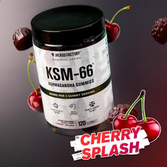 Bottle front with KSM-66 Ashwagandha Gummies label